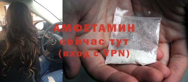 винт Пересвет