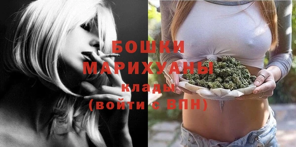 МДПВ Осташков