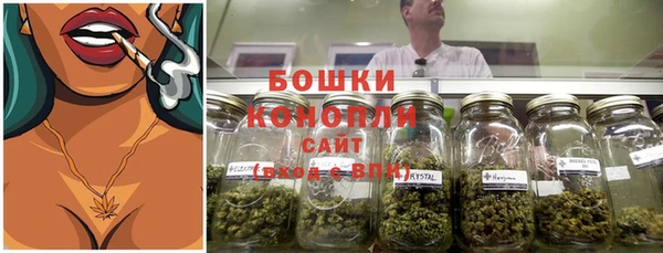индика Переславль-Залесский