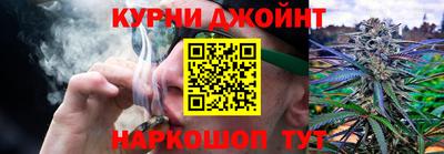 мдпв Дубна