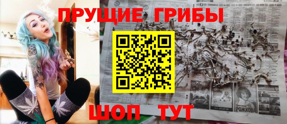 Галлюциногенные грибы Psilocybine cubensis Коркино