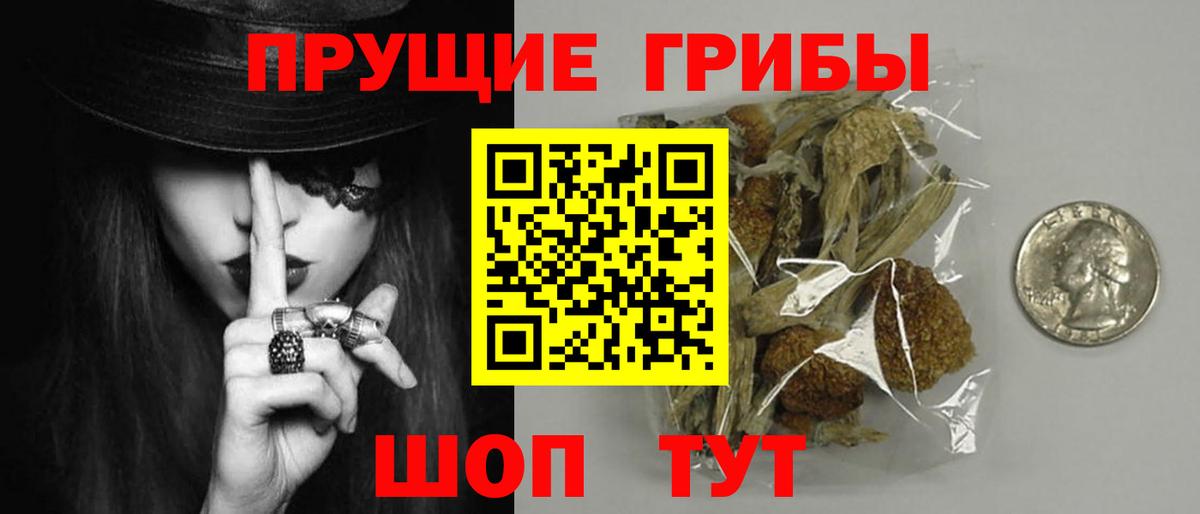 Псилоцибиновые грибы Psilocybine cubensis Коркино