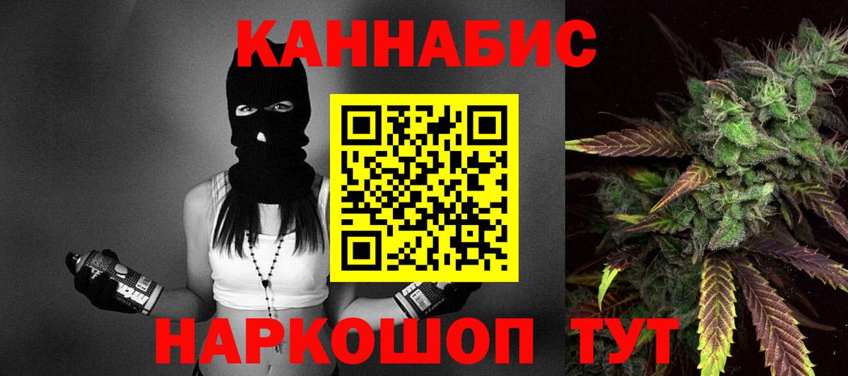 Канабис сатива Коркино